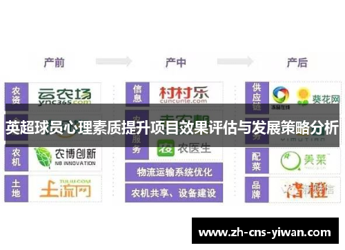 英超球员心理素质提升项目效果评估与发展策略分析
